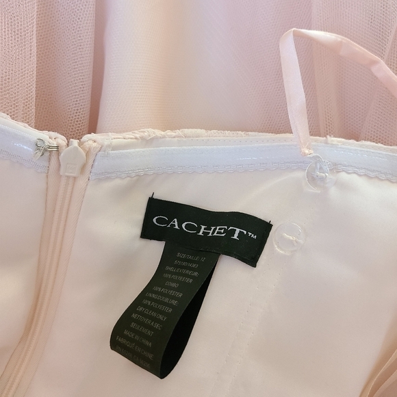 Cachet Lace and Tulle Soft Pink Dress, Size Medium - Picture 13 of 14